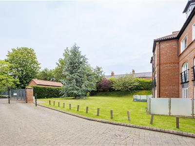 Picture 26